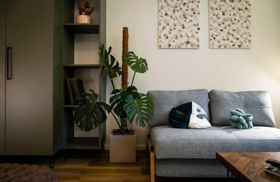 Urban Jungle Apartments-1
